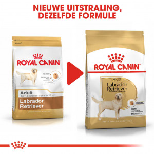 Labrador Retriever Royal Canin