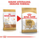 Labrador Retriever Royal Canin