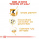 Labrador Retriever Royal Canin