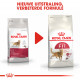 Royal Canin Regular Fit 32 kattenvoer