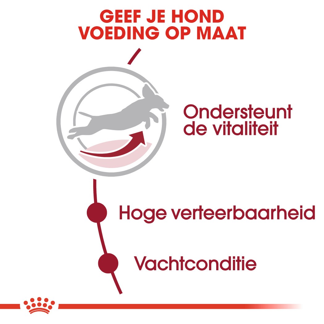 Royal Canin Medium Adult 7+ hondenvoer