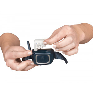 Petsafe antiblafband met spray voor de hond