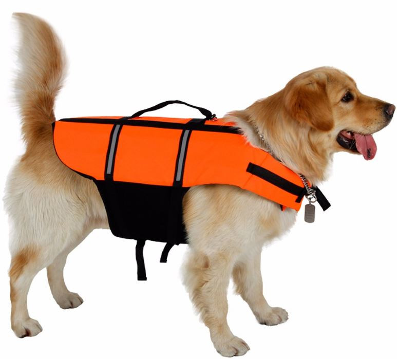 periscoop Implicaties Blanco Zwemvest voor de hond | goedkoop | effectief