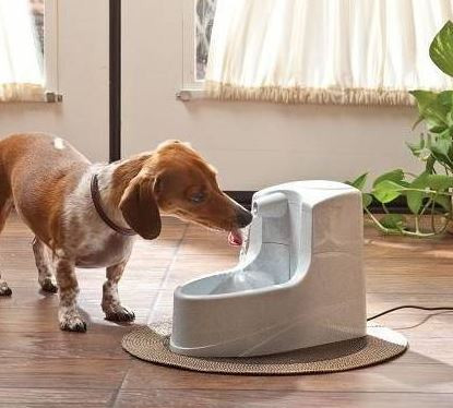 Petsafe Drinkwell Mini voor hond en kat