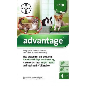 Advantage Nr. 40, Vlooienmiddel (tot 4kg) kat Per verpakking