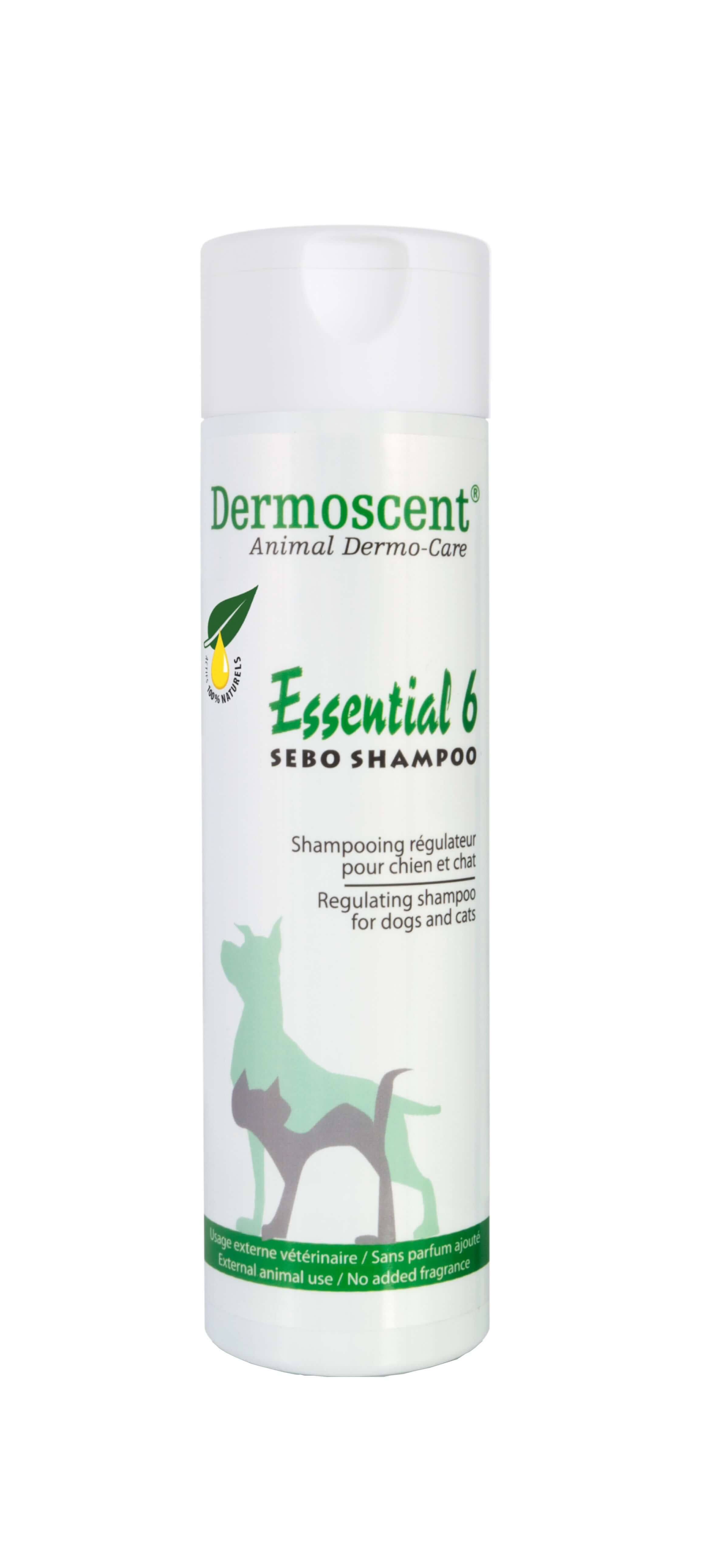rekruut Overtollig Gezond Dermoscent Essential 6 Sebo Shampoo voor hond en kat