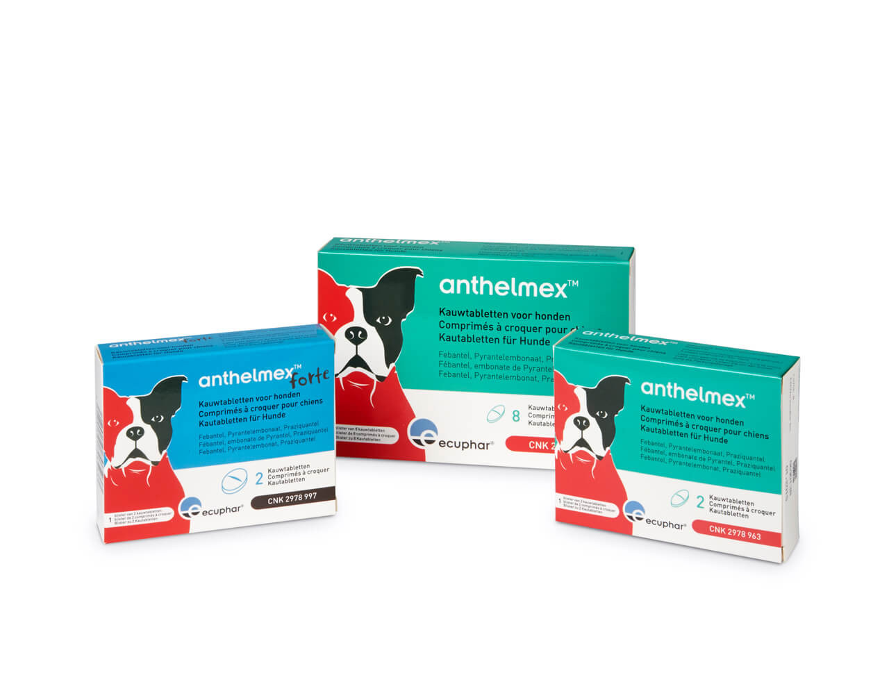 Anthelmex Kauwtabletten voor honden