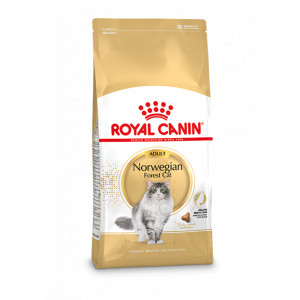 Royal Canin Adult Noorse Boskat kattenvoer