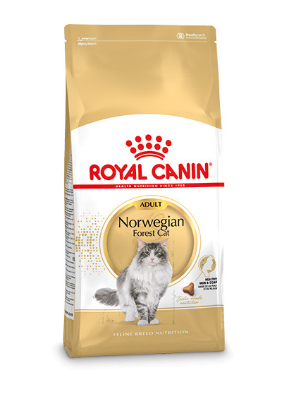 Royal Canin Adult Noorse Boskat kattenvoer