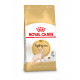 Royal Canin Adult Sphynx kattenvoer