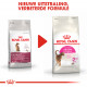 Royal Canin Aroma Exigent kattenvoer