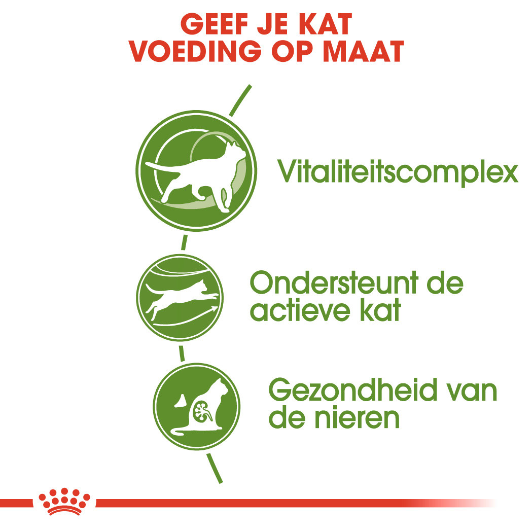 Royal Canin Outdoor 7+ kattenvoer