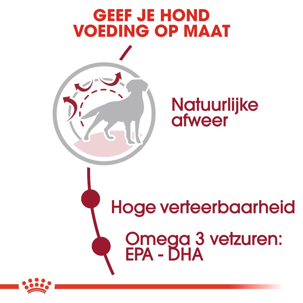 Stijg Grijp heet Royal Canin Medium Adult hondenvoer kopen | Tot 40% goedkoper