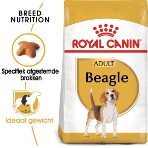 Afbeelding Royal Canin Adult Beagle hondenvoer 12 kg door Brekz.nl