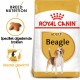 Royal Canin Adult Beagle hondenvoer