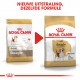 Royal Canin Adult Beagle hondenvoer