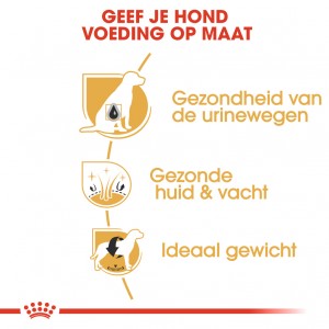 Royal Canin Adult Bichon Frise hondenvoer