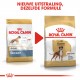 Royal Canin Adult Boxer hondenvoer