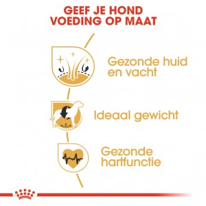 Royal Canin Adult Cocker Spaniel hondenvoer