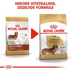 Royal Canin Adult Dachshund (Teckel) hondenvoer