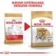 Royal Canin Adult Dalmatiër hondenvoer