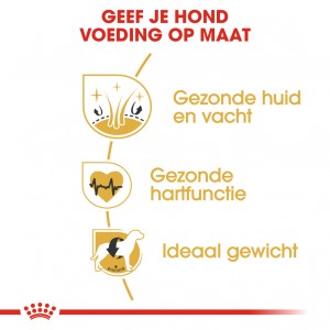 Royal Canin Adult Golden Retriever hondenvoer