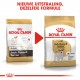 Royal Canin Adult Jack Russell Terriër hondenvoer