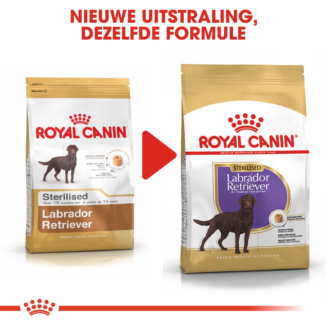 Minnaar genade Matron Royal Canin Labrador Retriever Sterilised Adult hondenvoer