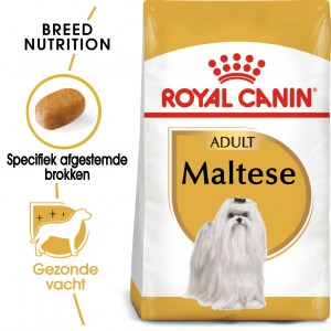 Afbeelding Royal Canin Adult Maltezer hondenvoer 1.5 kg door Brekz.nl