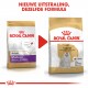 Royal Canin Adult Maltezer hondenvoer