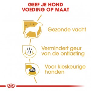 Royal Canin Adult Maltezer hondenvoer