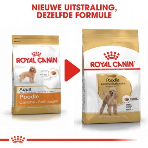 Royal Canin Adult Poodle hondenvoer