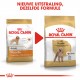 Royal Canin Adult Poodle hondenvoer