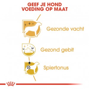 Royal Canin Adult Poodle hondenvoer