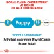 Royal Canin Puppy Boxer hondenvoer
