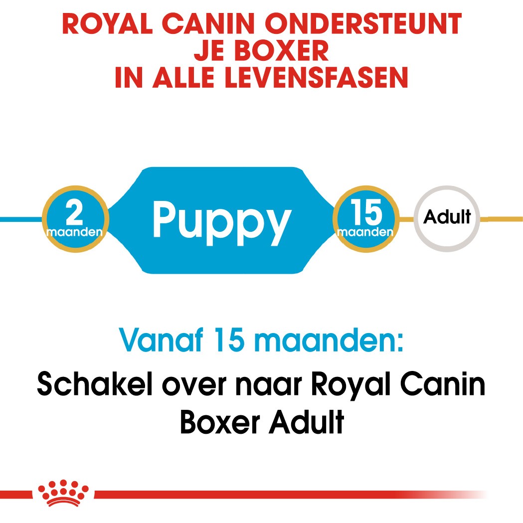 Royal Canin Puppy Boxer hondenvoer