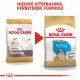 Royal Canin Puppy Bulldog hondenvoer