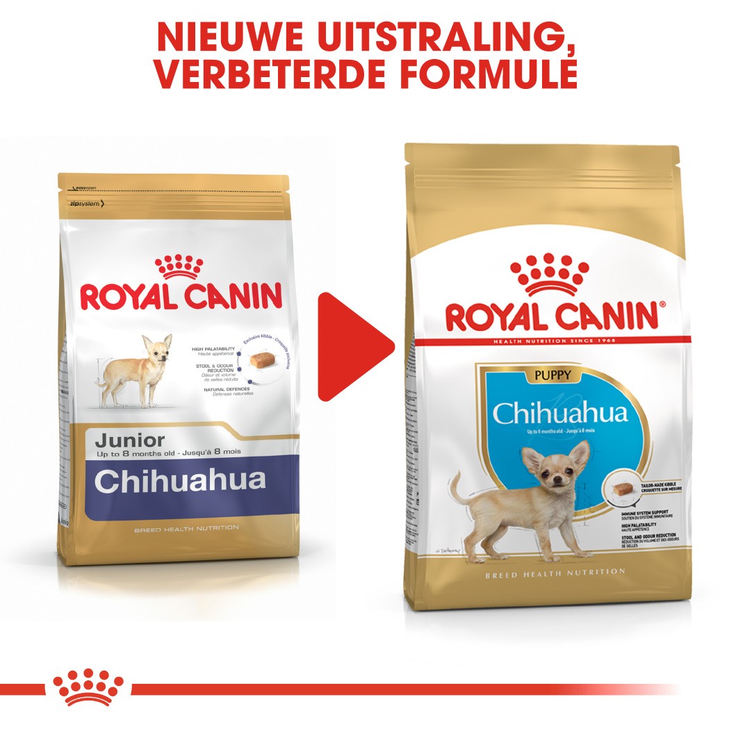 Royal Canin Puppy Chihuahua hondenvoer
