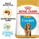 Royal Canin Puppy Cocker Spaniel hondenvoer