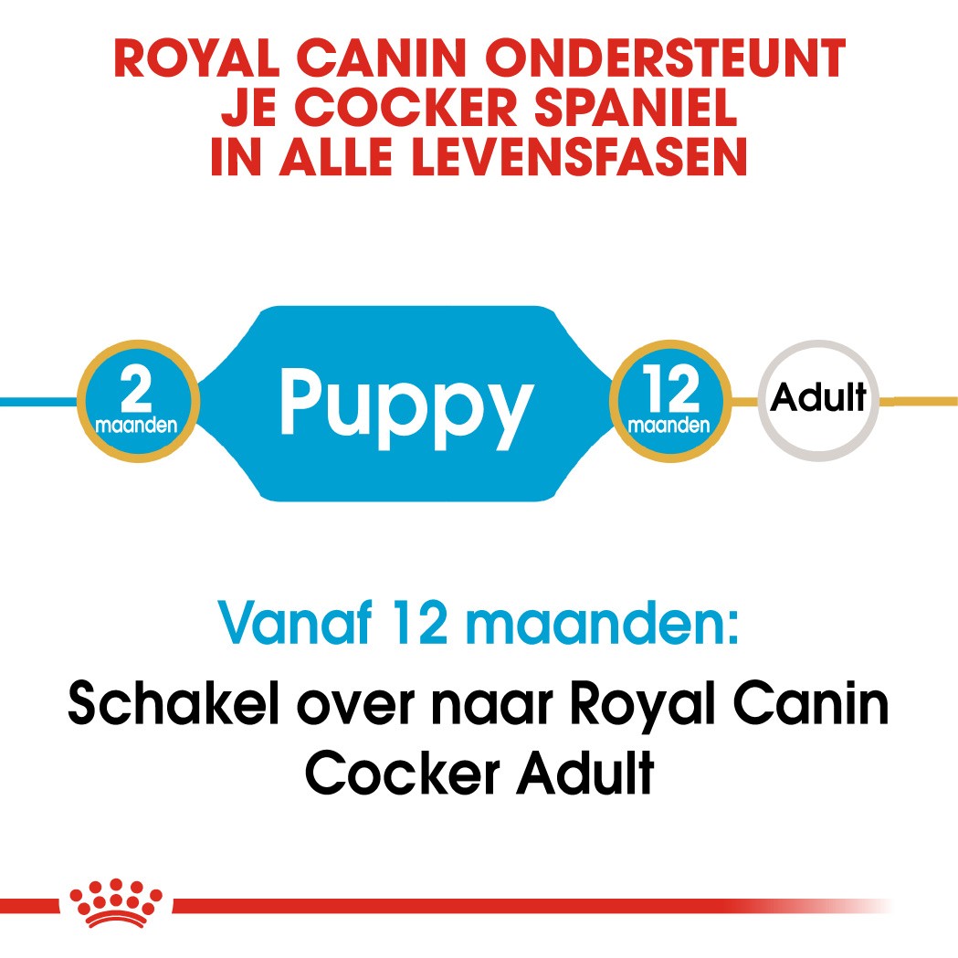 Royal Canin Puppy Cocker Spaniel hondenvoer