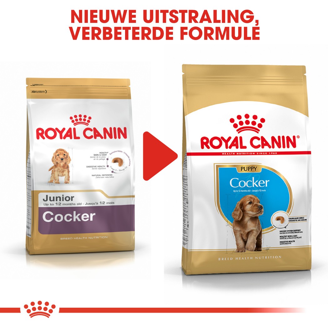 Royal Canin Puppy Cocker Spaniel hondenvoer