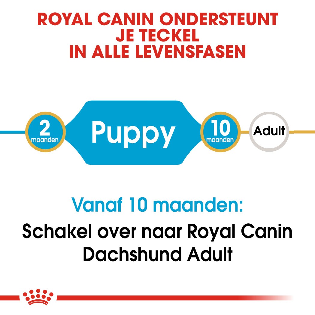 Royal Canin Puppy Dachshund (Teckel) hondenvoer