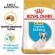 Royal Canin Puppy Franse Bulldog hondenvoer