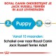 Royal Canin Puppy Jack Russell Terriër hondenvoer