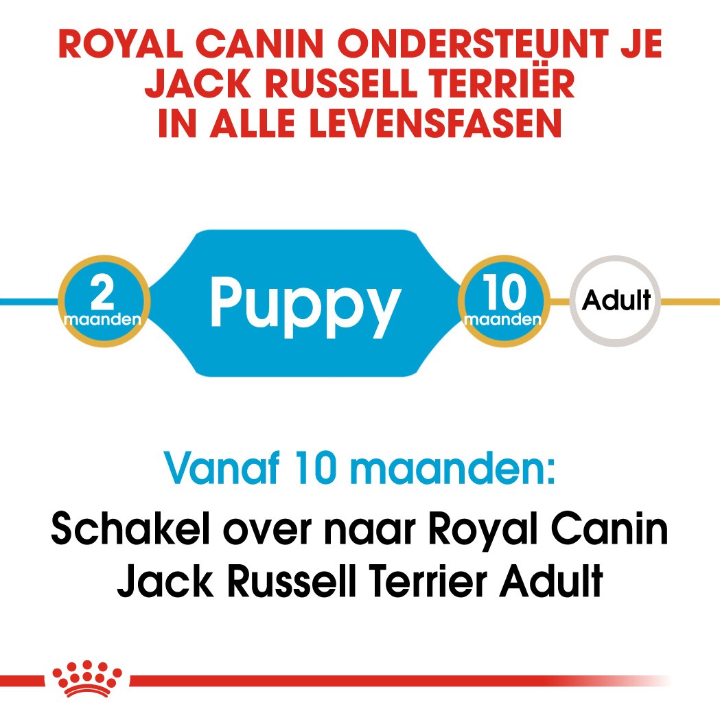 Royal Canin Puppy Jack Russell Terriër hondenvoer