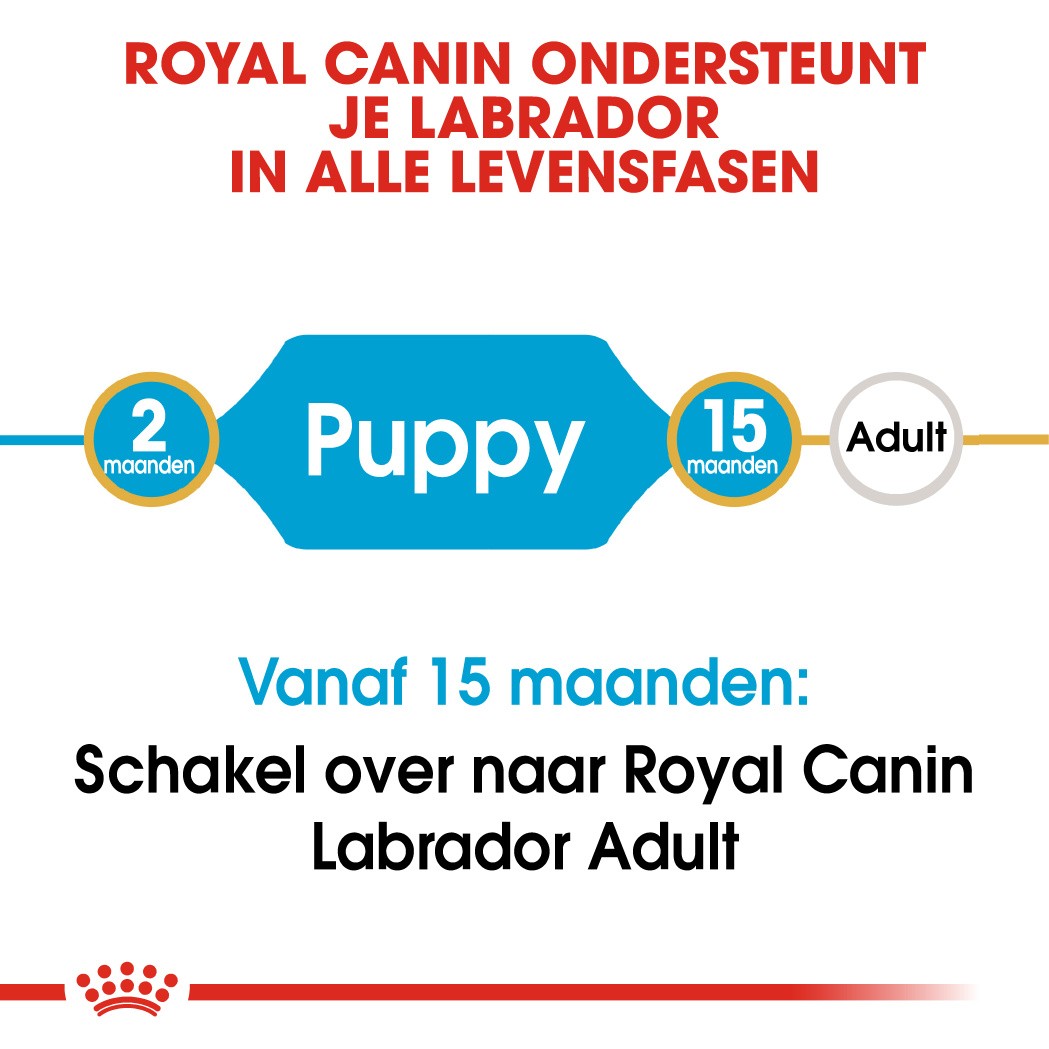 Royal Canin Puppy Labrador Retriever hondenvoer