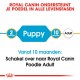 Royal Canin Poodle 33 junior hondenvoer