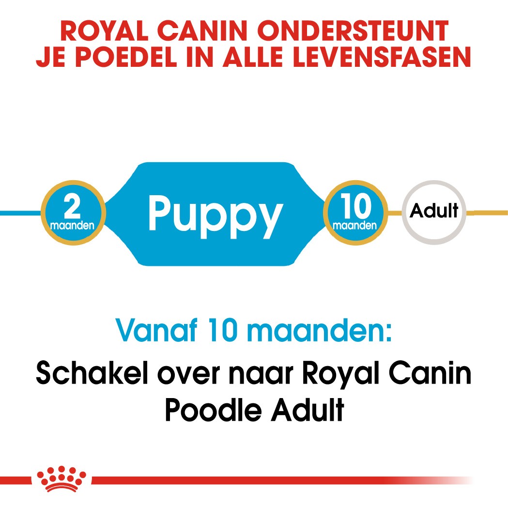 Royal Canin Poodle 33 junior hondenvoer