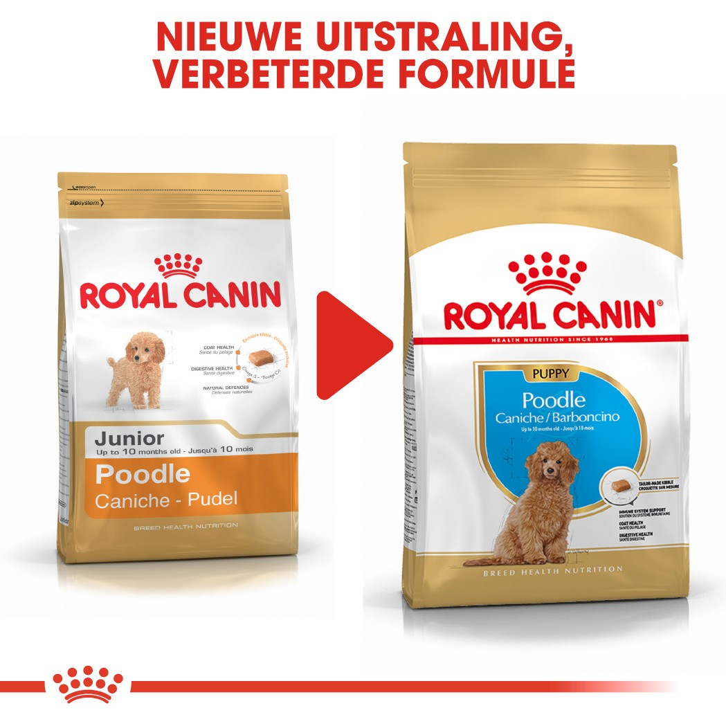 Royal Canin Poodle 33 junior hondenvoer