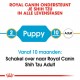 Royal Canin Puppy Shih Tzu hondenvoer